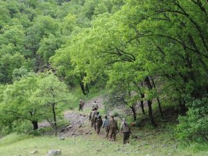 Çukurca'da bir terörist teslim oldu