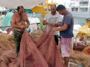 Doğu Karadenizli palamuda doyacak