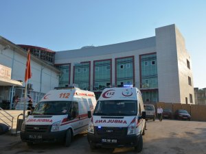 Ağaçtan düşen kişi ağır yaralandı