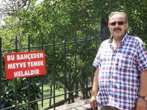 Ordu’da bu bahçeden meyve yemek helal