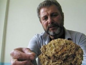 Van'da 250 yıllık otlu peynir bulundu