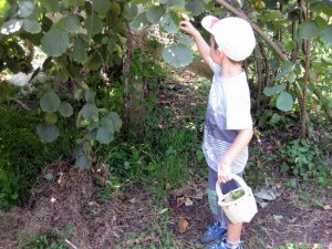 Çocuk işçi çalıştıranlara ceza