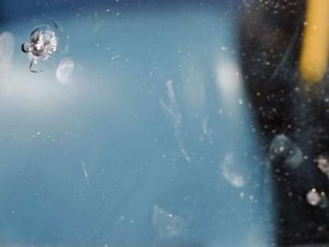 H.Berlin otobüsüne silahlı saldırı