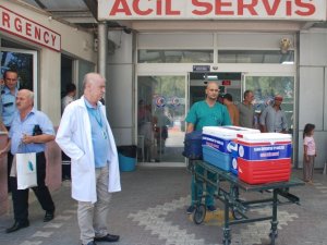 Organları 5 kişiye umut oldu