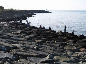 Trabzon'a denizi kirletenlere af yok!