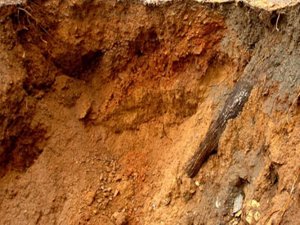 Toprak kayması can aldı!