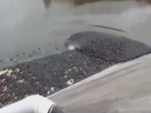 Susuzluğa ilginç çözüm!