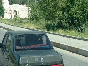 Onu görenler şaşkınlık yaşadı!