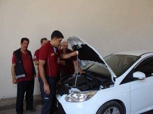 Otomobilden yılan çıktı