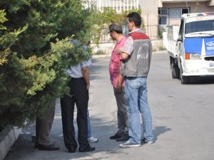 Düğünde polise taşlı sopalı saldırı