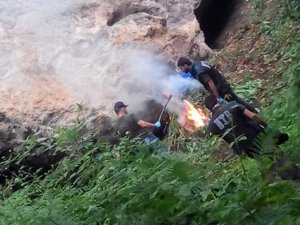 Trabzon Narkotim 1000 kök esrar yakalandı