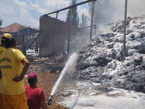 Hayvanlar ölümden döndü!