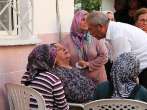 Son 20 günde 3. şehit