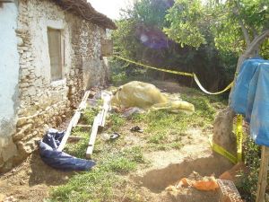 Kiraz’da vahşet !