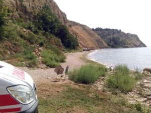 Silivri'de toprak kayması