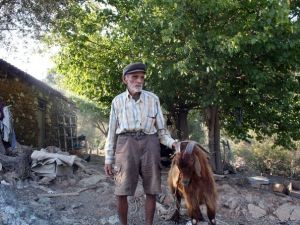 104’lük Robinson !