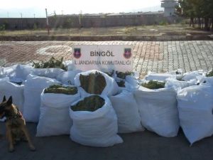 Jandarmadan 1 buçuk milyon TL’ lik esrar darbesi