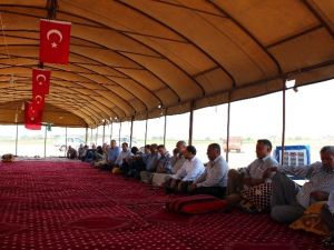 Dolandırıcılıkta insanlık dışı yöntem