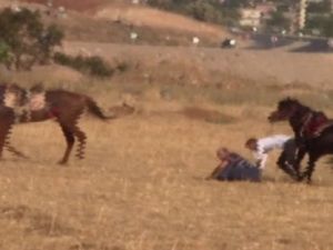 Atlar çarpıştı: Biniciler ölümden döndü !