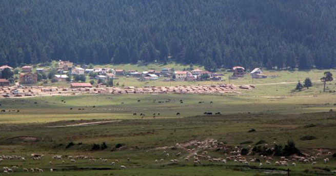 51 bin hektarlık yeşil alan turizm imarına açıldı