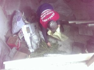 Ormanda Kenevir Yetiştirdi!