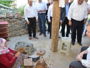 Vali Yavuz Dölek Köyünde İncelemelerde Bulundu