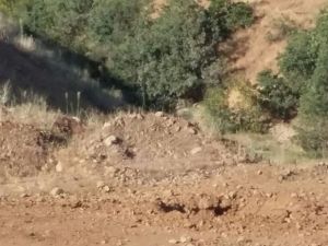 Bingöl'de Facia Son Anda Önlendi: EYP İmha Edildi