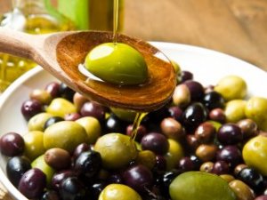 Zeytin üreticisi yağmurun yağmasını bekliyor