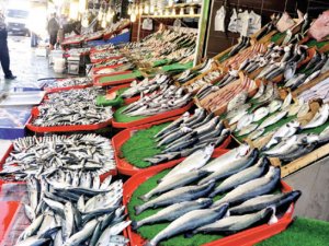 Bu sene hamsi ve palamut bol olacak
