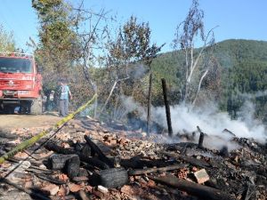 Keçilerini kurtarmak isterken yanarak öldü