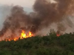 Orman yangını büyüyor