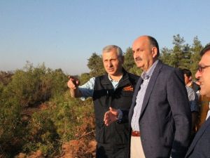 Bakan Müezzinoğlu: “40 civarında ev boşaltıldı“