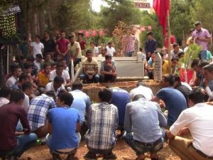 Yüzlerce kişi şehidin kabrine gitti