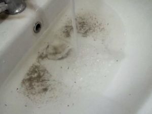 Çeşmelerden solucan ve kurbağa yavrusu akıyor