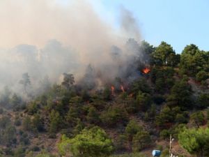 Tamamen söndürüldü !