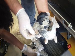 Pendik Limanında tarihi eser operasyonu