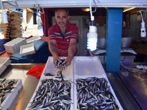 Trabzon'da hamsi sevinci