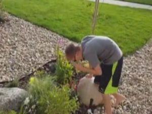 Onun şaşkınlığı çiçeklere değil renklere