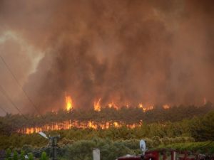 Bursa’daki orman yangınında sabotaj şüphesi