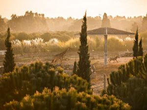 Doğal yaşam parkı 6 Akdeniz ülkesini temsil edecek