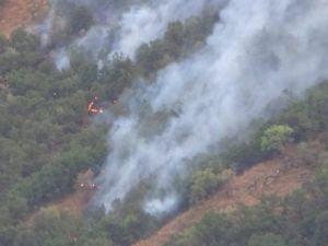 Hakkari’de 5 ayrı noktada orman yangını