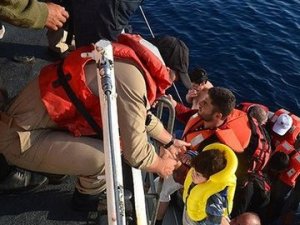 3 ayda 48 bin kaçak kurtarıldı