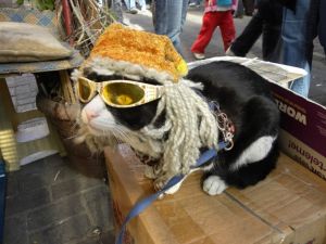 Modayı yakından takip ediyor