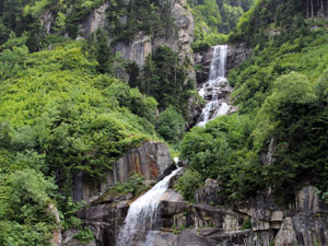 Trabzon yaylalarına el koyuyorlar