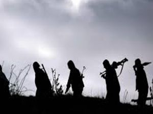 Doğu ve Güneydoğu yangın yeri