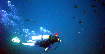 Şampiyon dalgıç vurgun yedi