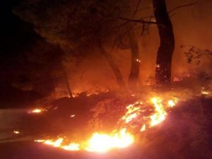 Edremit’te orman yangınları