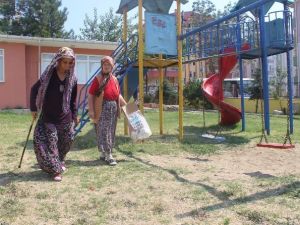 80’lik nineler ellerinde bastonlarıyla çöp topluyor