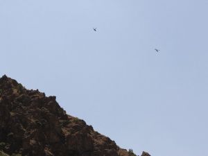 İHA’lar belirliyor, savaş uçakları vuruyor