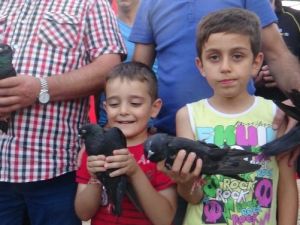 Şehitler için kara güvercin uçurdular